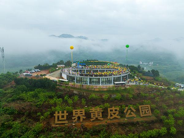 2世界黄皮公园 何鉴清拍摄.jpg 2世界黄皮公园 何鉴清拍摄.jpg