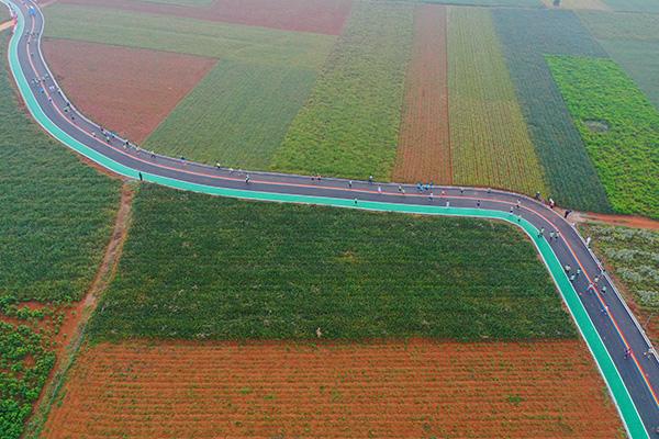 4“菠萝的海”的马拉松，可能是一场“最甜的马拉松”。  陈北跑拍摄.jpg