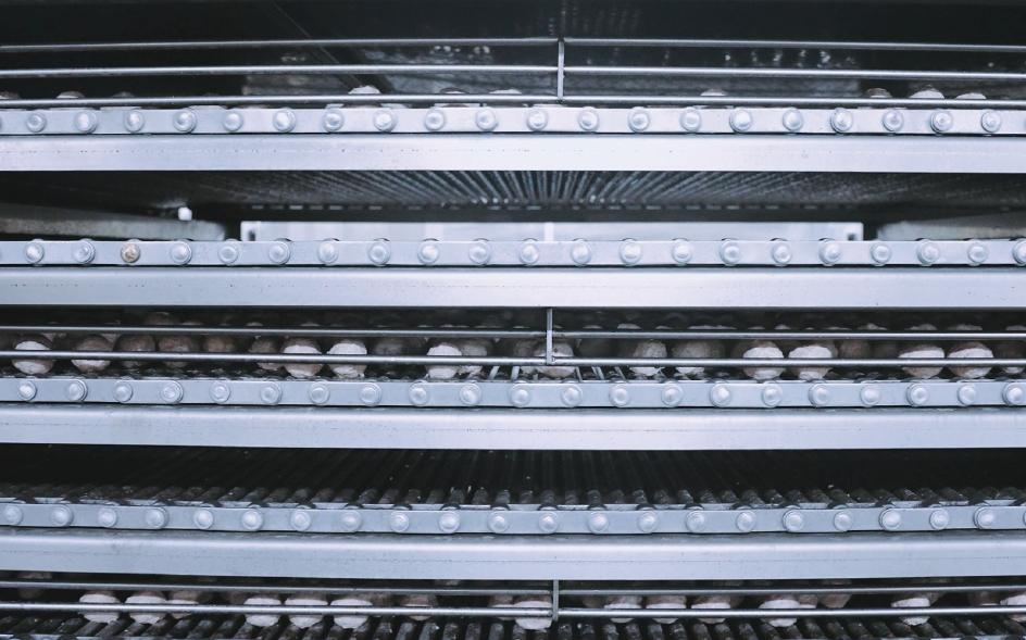 20250115112644.jpg 20250115112644.jpg