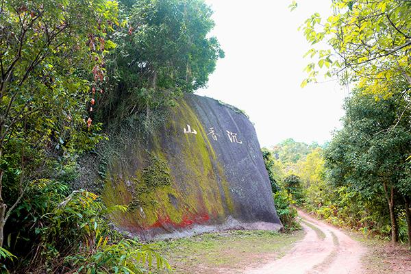 1电白沉香山 电白区观珠镇供图.JPG 1电白沉香山 电白区观珠镇供图.JPG