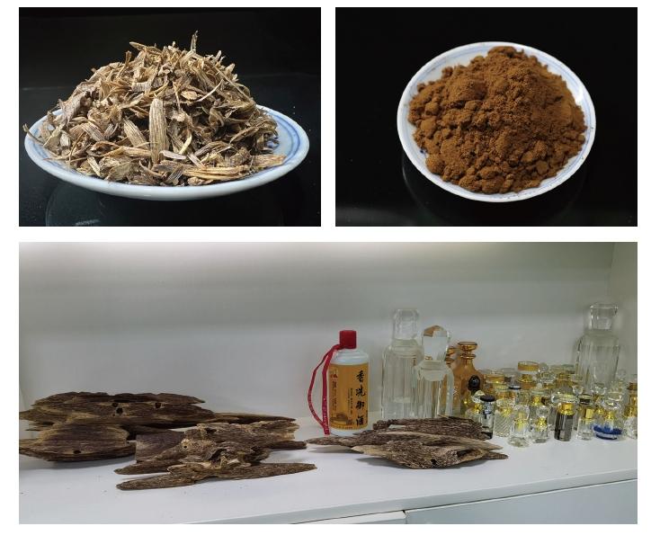 20250115113739.jpg 20250115113739.jpg