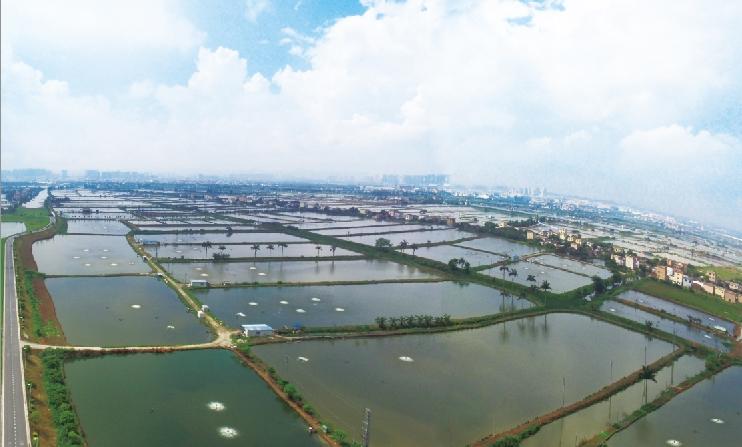 20250115114757.jpg 20250115114757.jpg