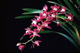 20250115120205.jpg 20250115120205.jpg