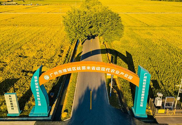 1增城区丝苗米省级现代农业产业园 增城区委宣传部供图.jpg 1增城区丝苗米省级现代农业产业园 增城区委宣传部供图.jpg