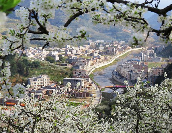 2钱排美景  叶尚供稿.jpg