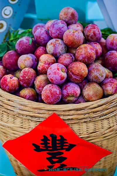 4丰收  广东省南方乡村振兴促进中心供图.jpg