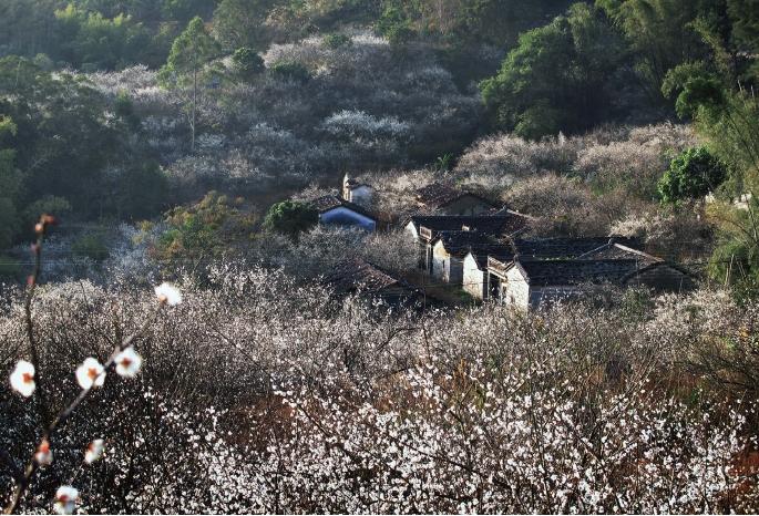 20250115124727.jpg 20250115124727.jpg