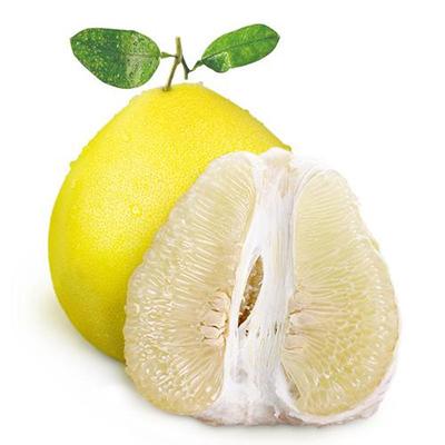 2梅州金柚 梅州电商协会供图.jpeg 2梅州金柚 梅州电商协会供图.jpeg