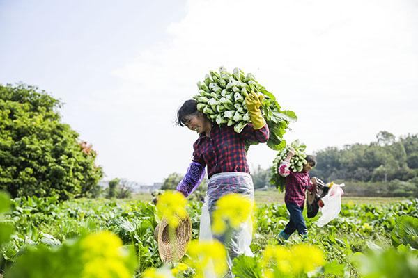 4喜悦 增城区委宣传部供图.jpg 4喜悦 增城区委宣传部供图.jpg
