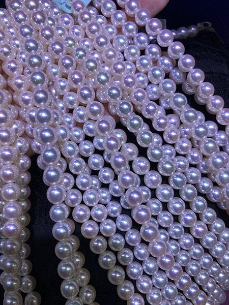 3流光溢彩的南珠 广东尊鼎珍珠有限公司供图.jpg 3流光溢彩的南珠 广东尊鼎珍珠有限公司供图.jpg