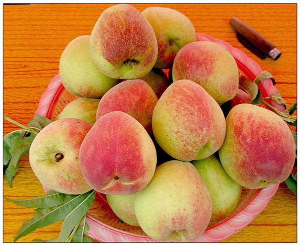 4翁源九仙桃 孔昭凤供图.jpg 4翁源九仙桃 孔昭凤供图.jpg