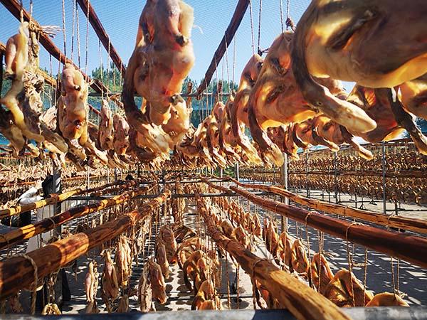 2正在晾晒的南雄板鸭 南雄市农业农村局供图.jpg 2正在晾晒的南雄板鸭 南雄市农业农村局供图.jpg