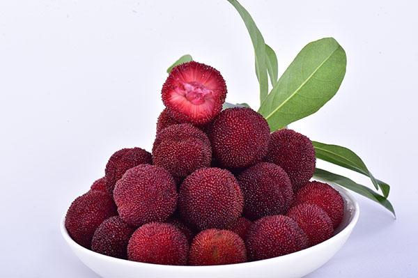 3诱人的始兴杨梅  韶关市乡村振兴促进会供图.JPG