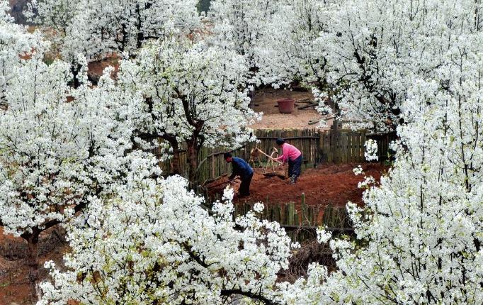 20250115131920.jpg 20250115131920.jpg