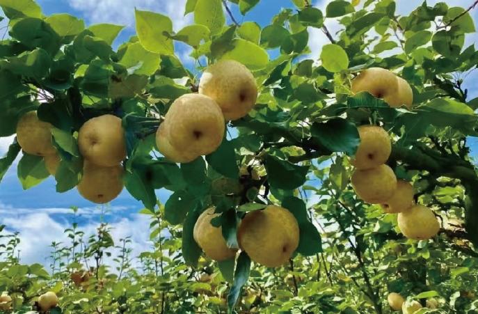 20250115132250.jpg 20250115132250.jpg